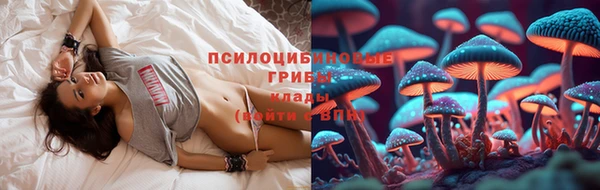 метамфетамин Болотное