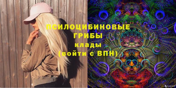 ПСИЛОЦИБИНОВЫЕ ГРИБЫ Белоозёрский