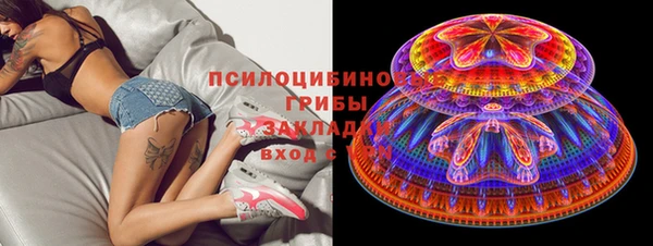 сатива Богданович