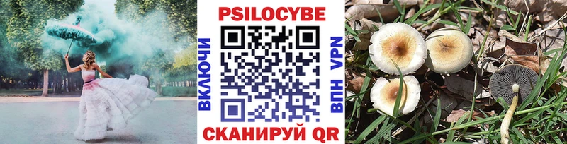 Псилоцибиновые грибы прущие грибы  Демидов 
